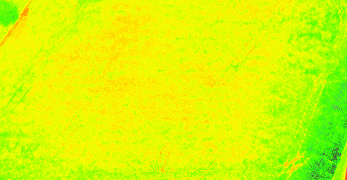 Overhead drone map rendered in NDVI